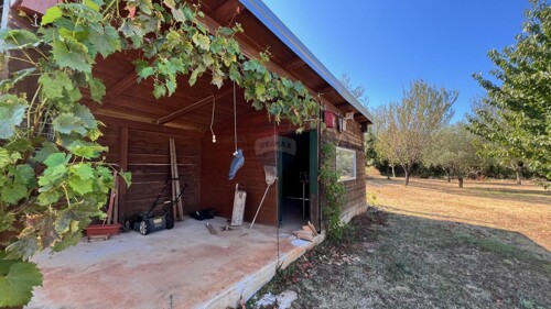 Thumbnail 6063527 - 18