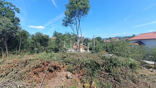 Thumbnail 6064647 - 1