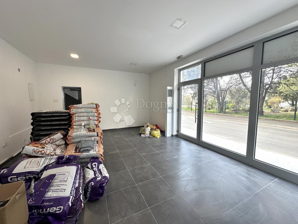 Image 6064663 - 6