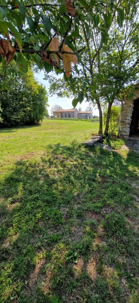Image 6066776 - 6