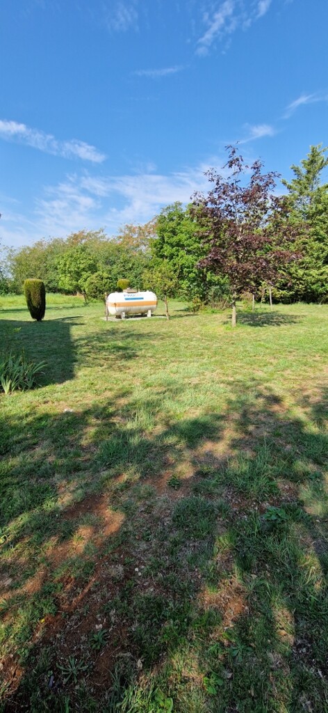 Image 6066776 - 7