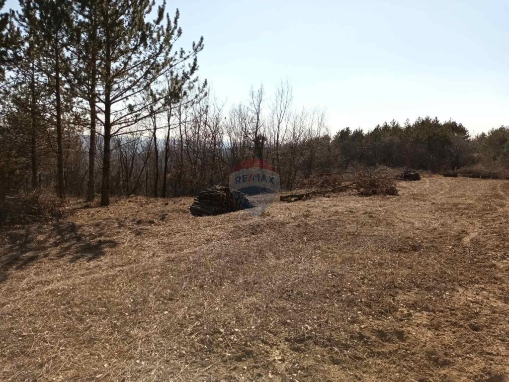 Image 6070162 - 1