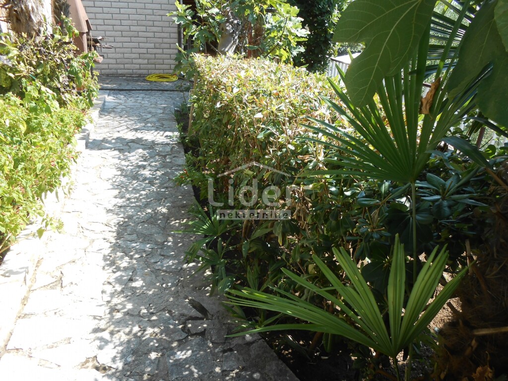 Image 6072901 - 4
