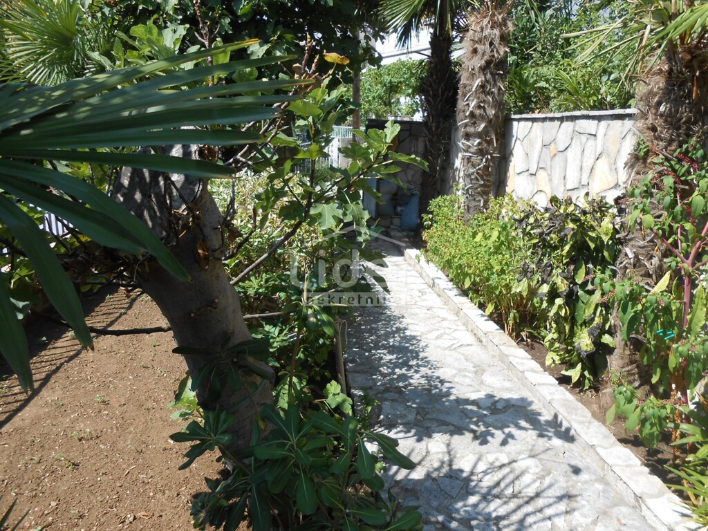 Image 6072901 - 2