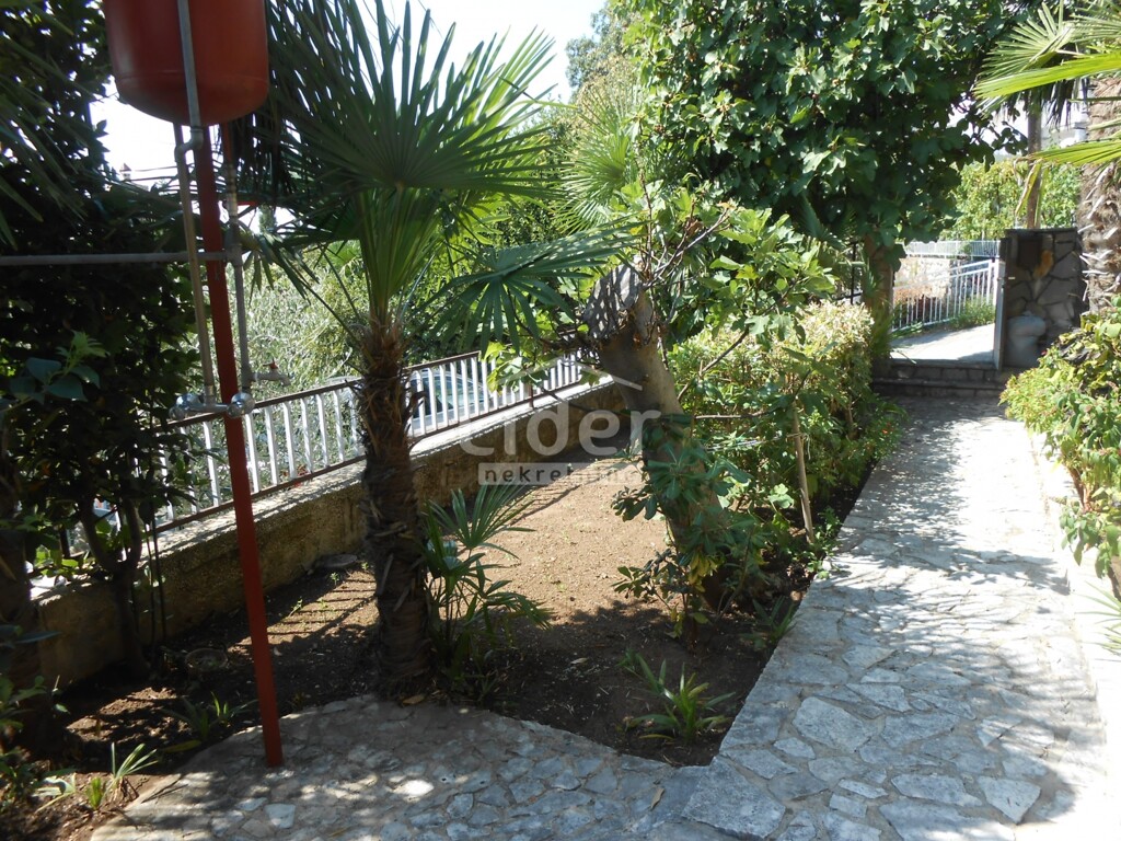 Image 6072901 - 3