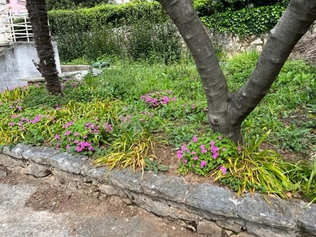 Image 6072915 - 16