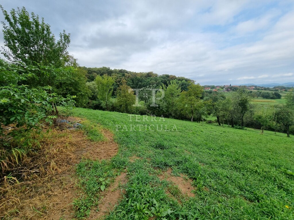 Image 6073674 - 21