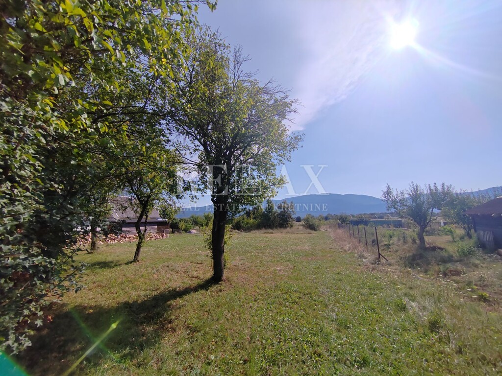 Image 6073734 - 1