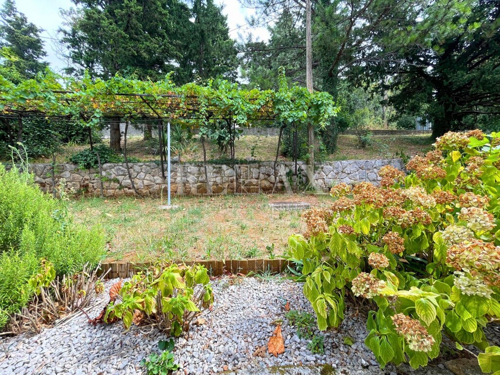Image 6073736 - 17