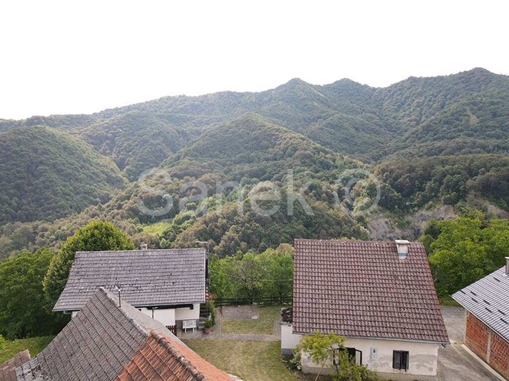 Image 6073783 - 6