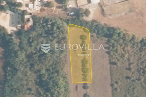 Thumbnail 6074438 - 1