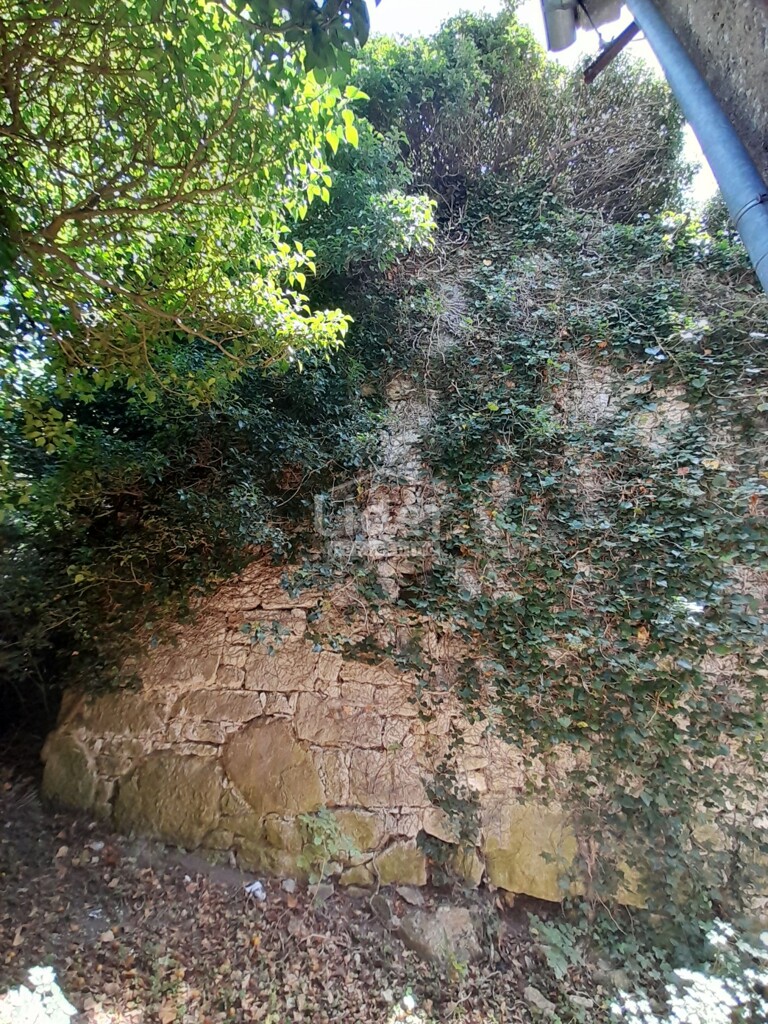 Image 6074470 - 7