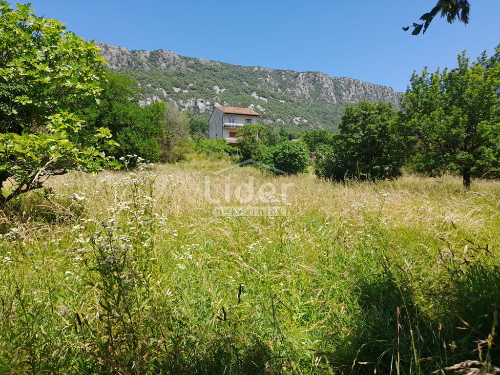 Image 6074470 - 10