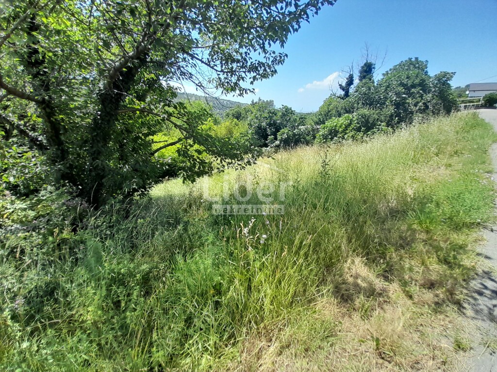 Image 6074470 - 3