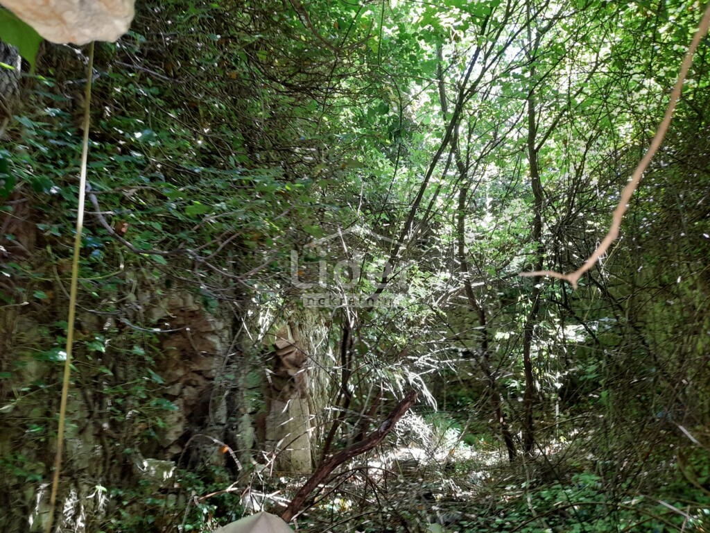 Image 6074470 - 6