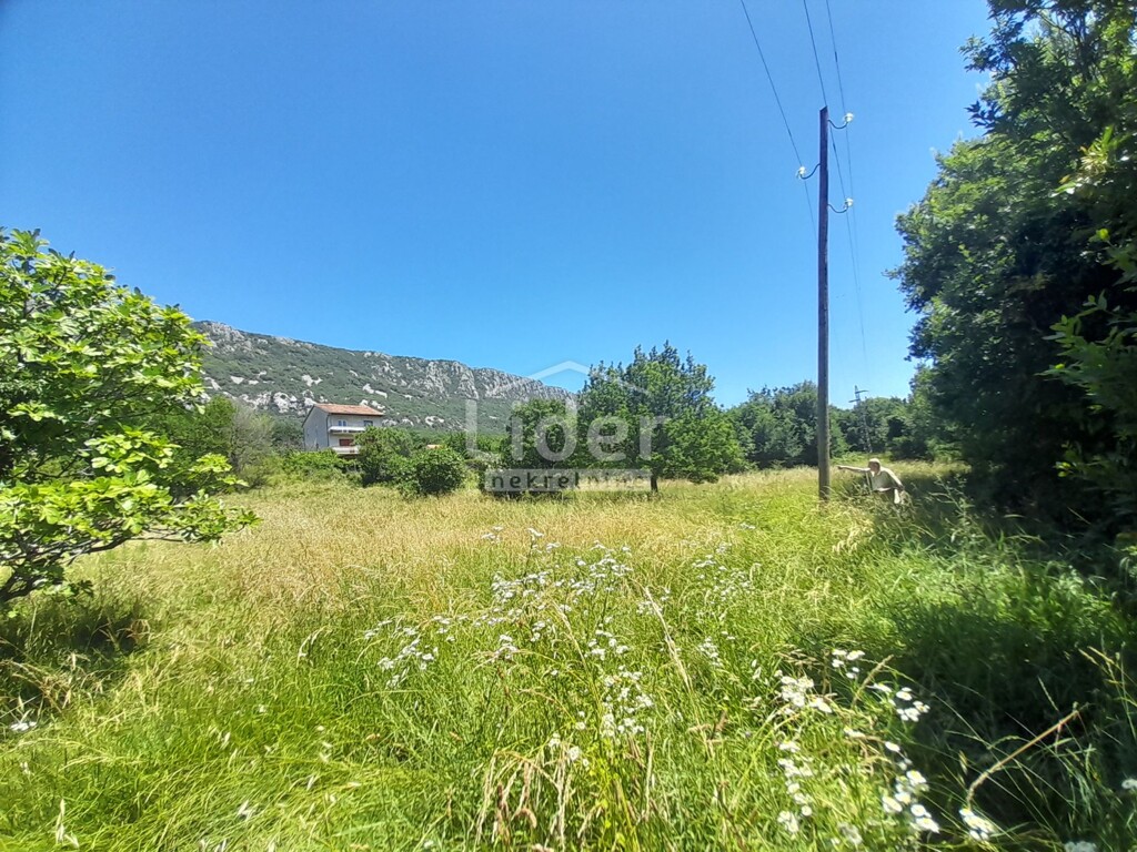 Image 6074470 - 1