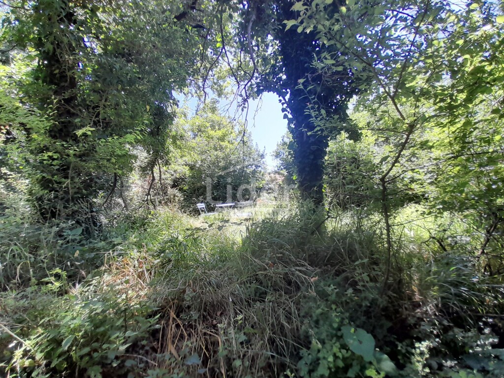 Image 6074470 - 8