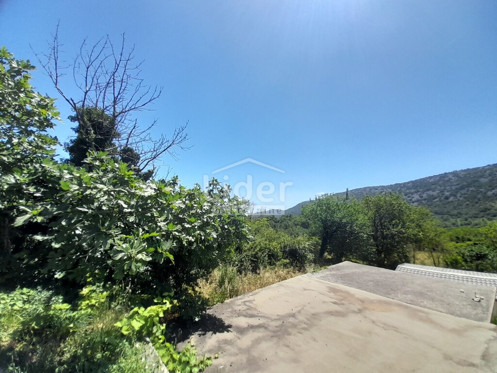 Image 6074470 - 2