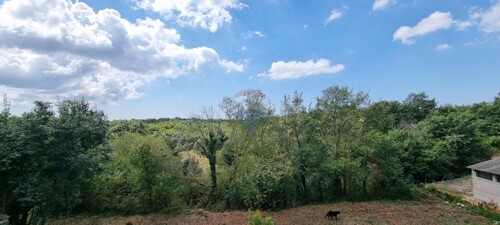 Thumbnail 6074661 - 1