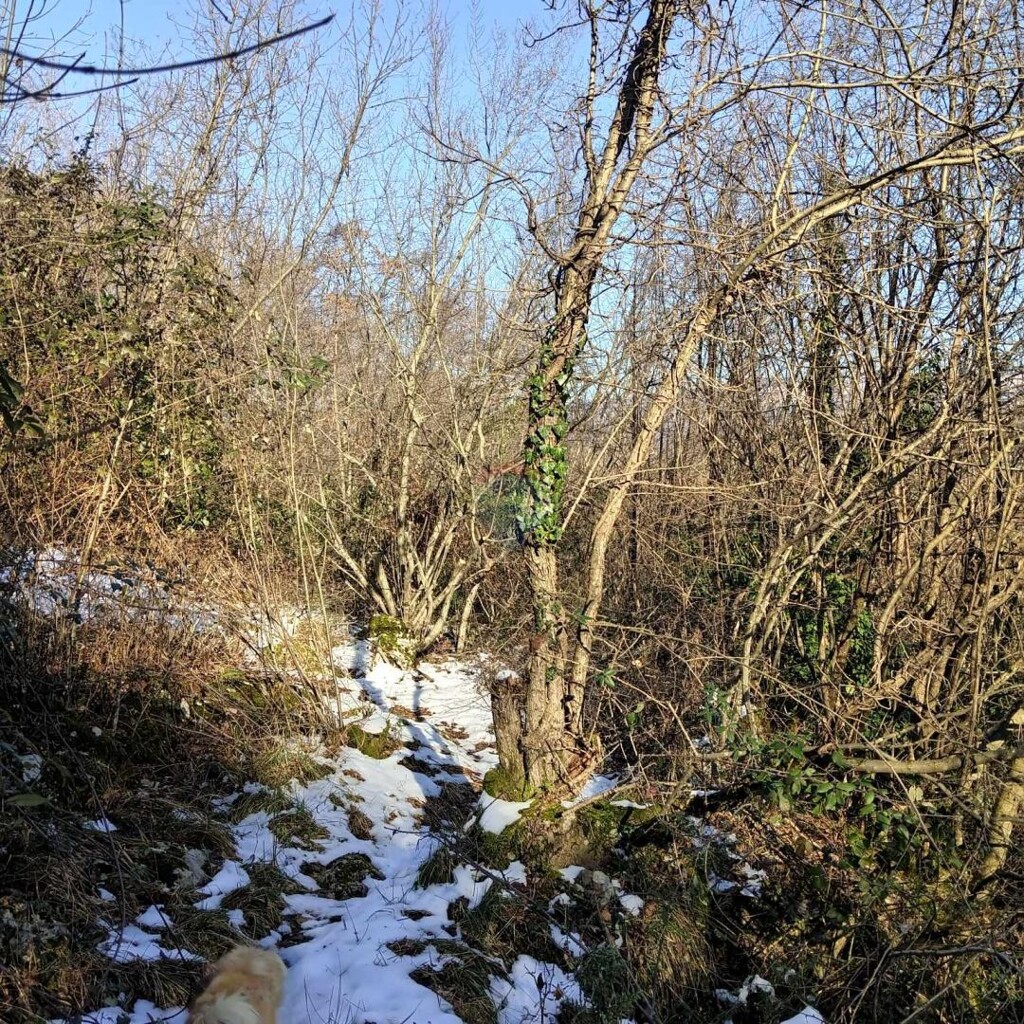 Image 6074662 - 10