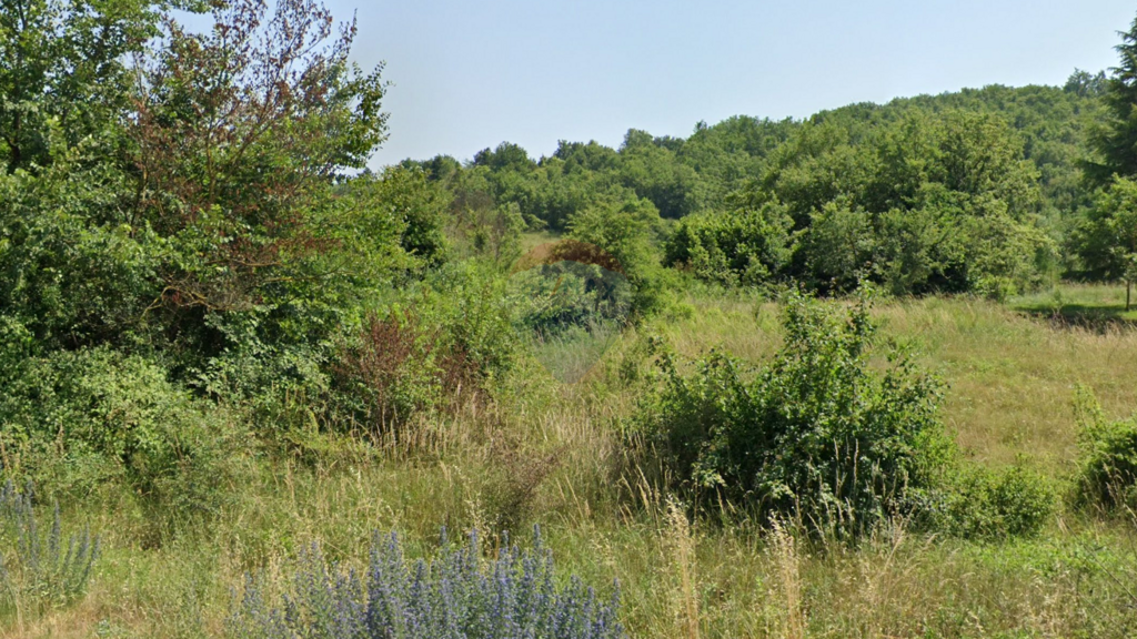 Image 6074665 - 1