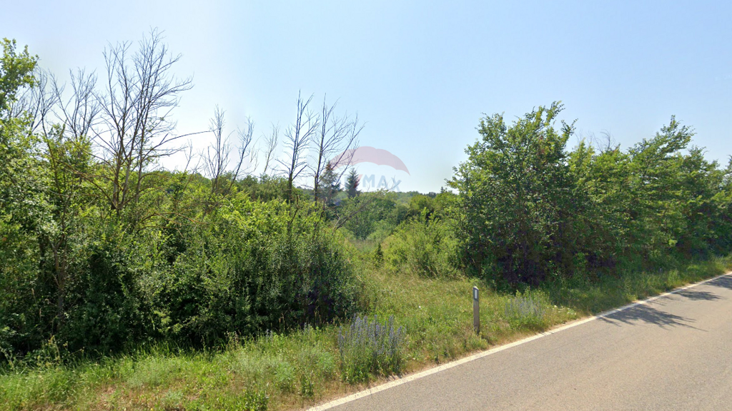Image 6074665 - 2