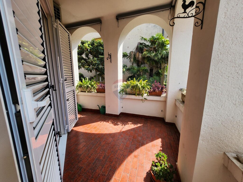 Image 6075306 - 17