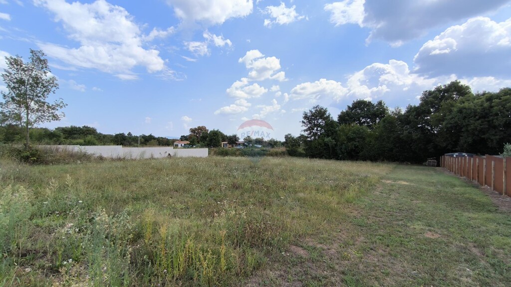 Image 6075311 - 2