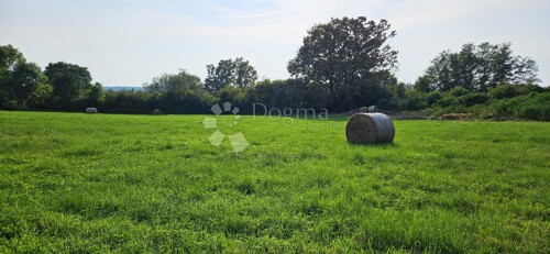 Thumbnail 6075909 - 13