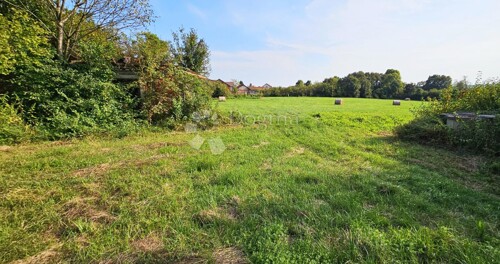 Thumbnail 6075909 - 14