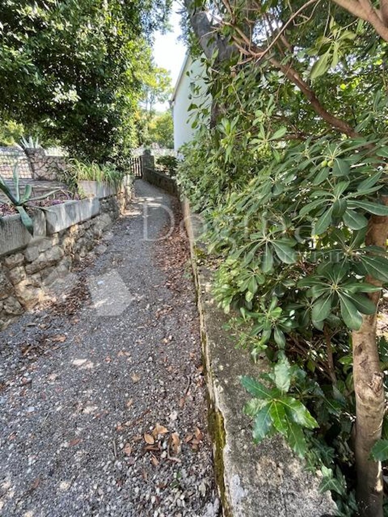 Image 6075910 - 22