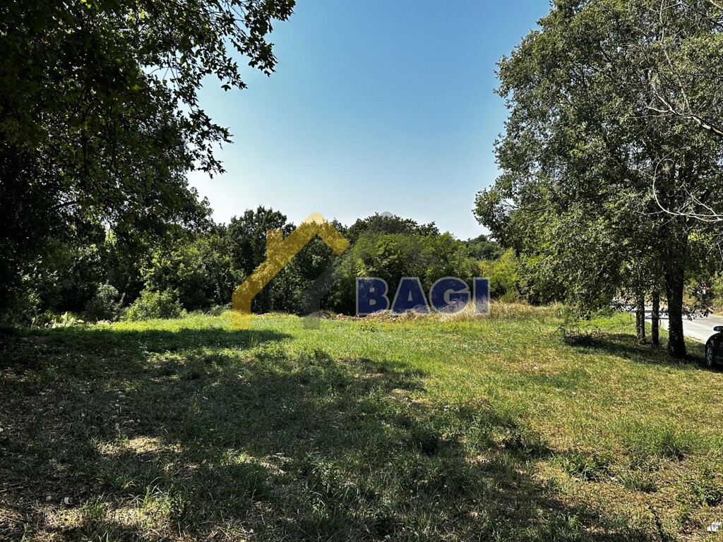 Image 6075941 - 2