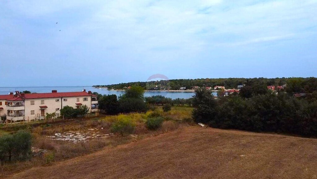 Image 6076114 - 9