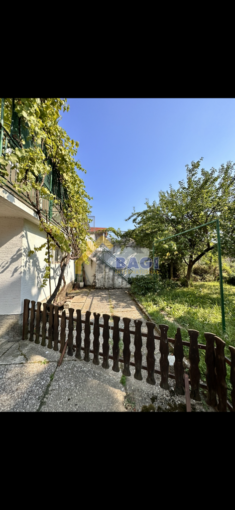 Image 6076789 - 6