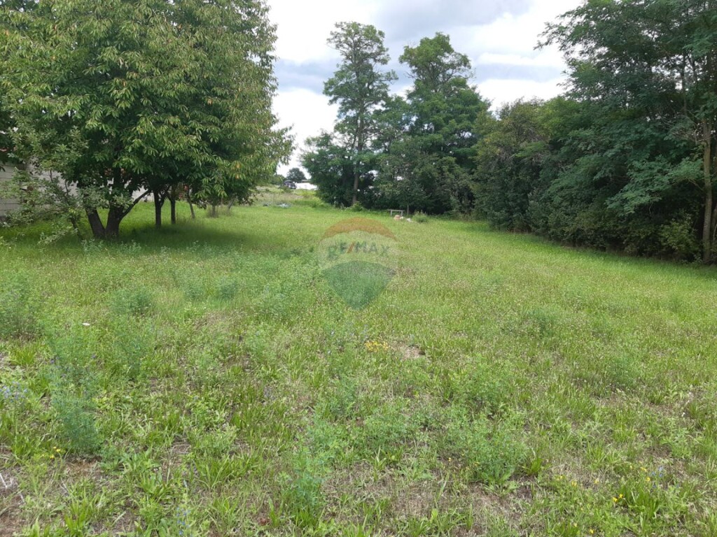 Image 6076811 - 7
