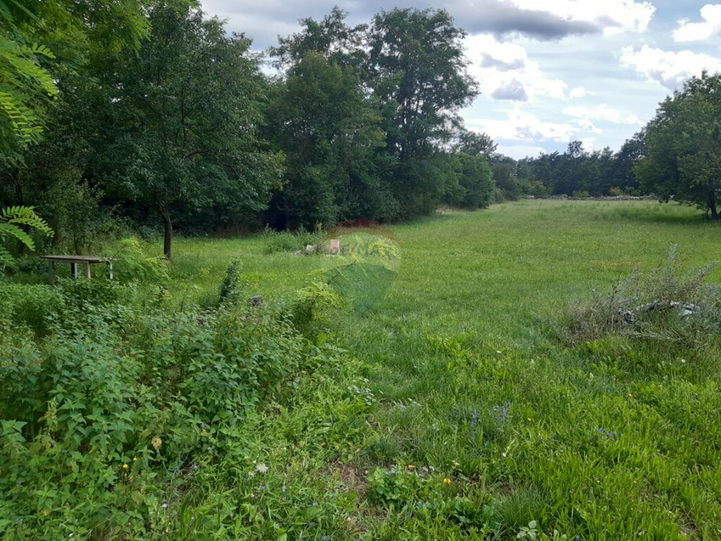 Image 6076811 - 2