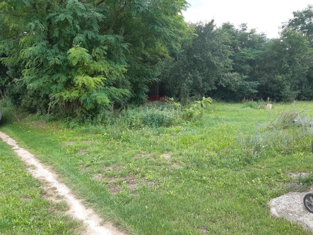 Image 6076811 - 4