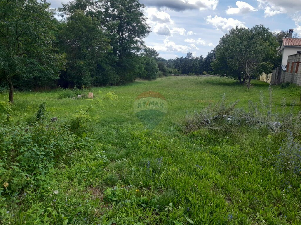 Image 6076811 - 1