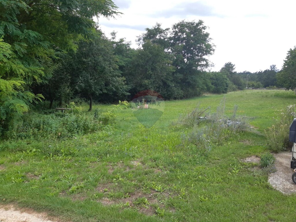 Image 6076811 - 5