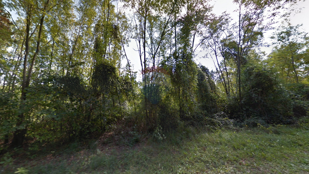 Image 6076812 - 1