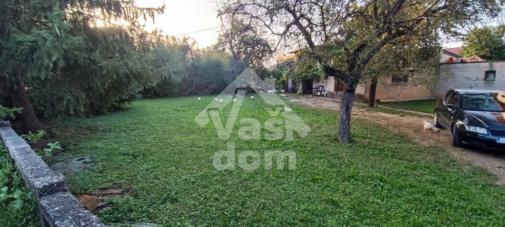 Image 6076818 - 5