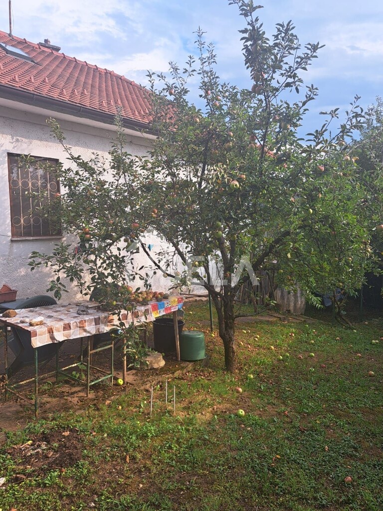 Image 6076820 - 9