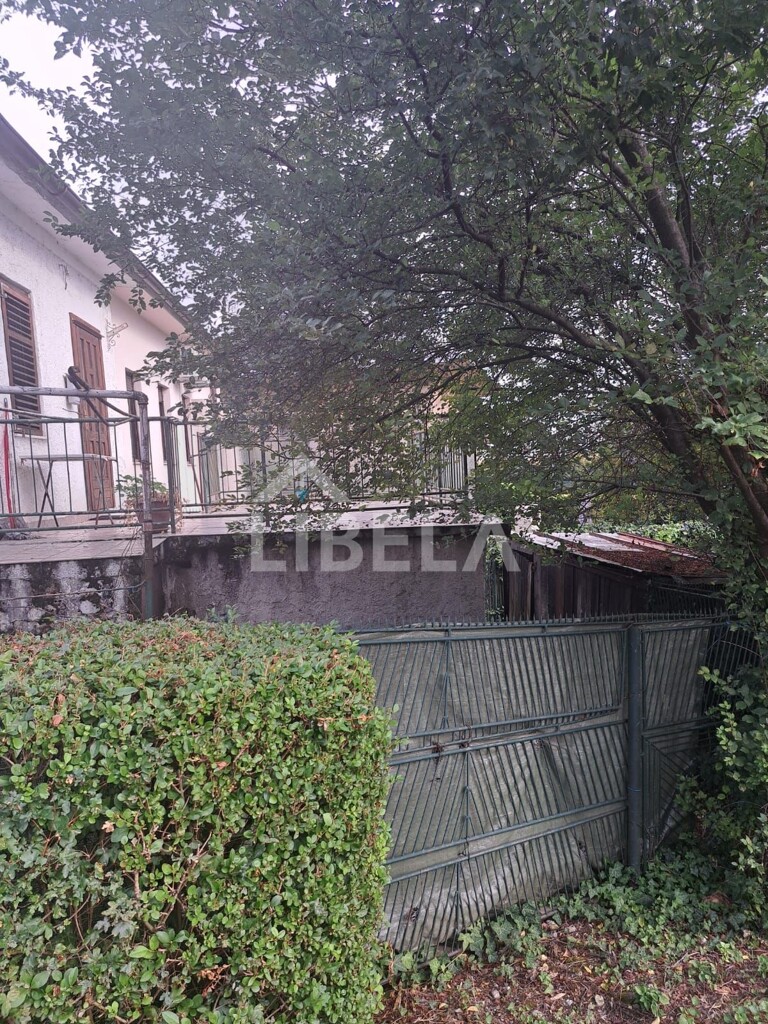 Image 6076820 - 5