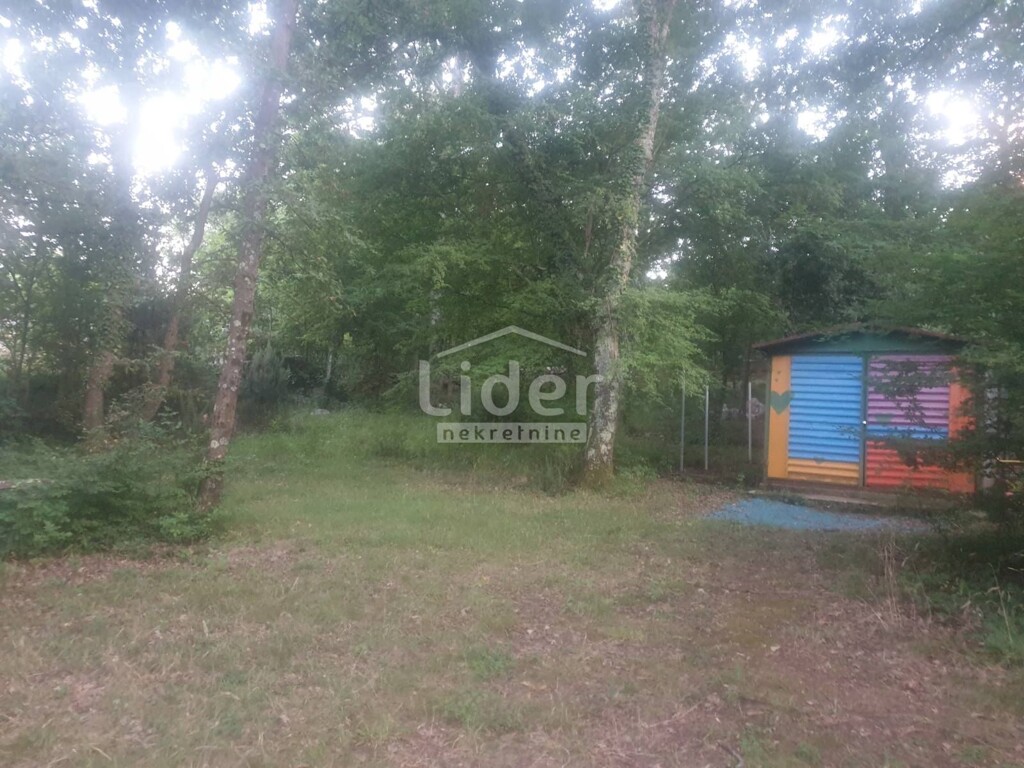 Image 6082429 - 2