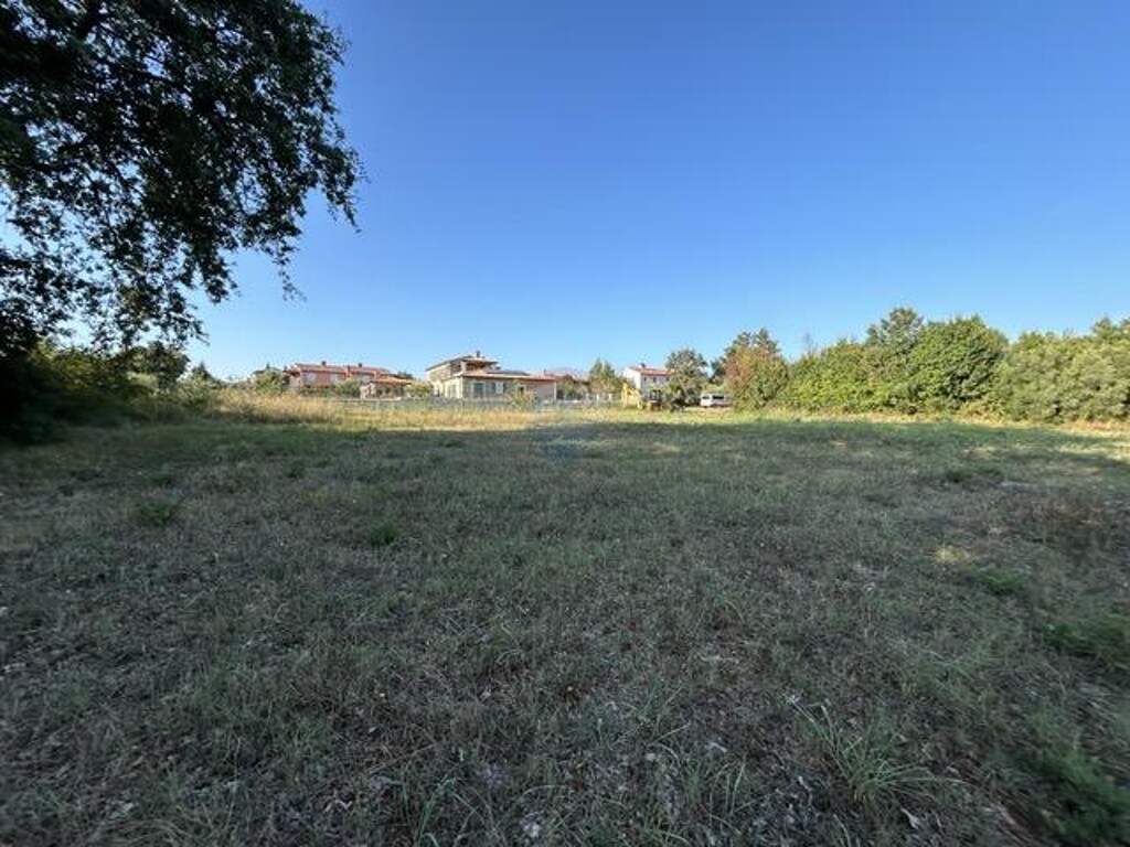 Image 6082612 - 1