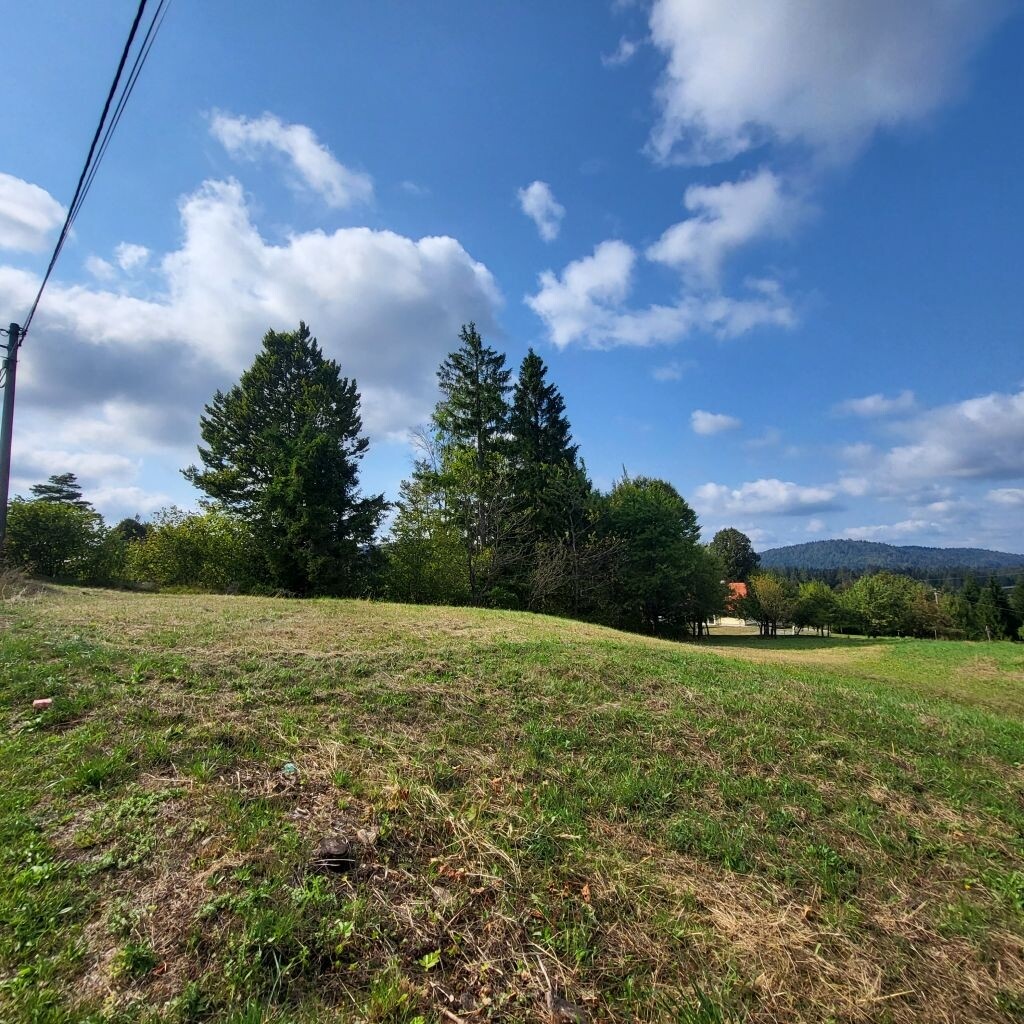 Image 6083436 - 1