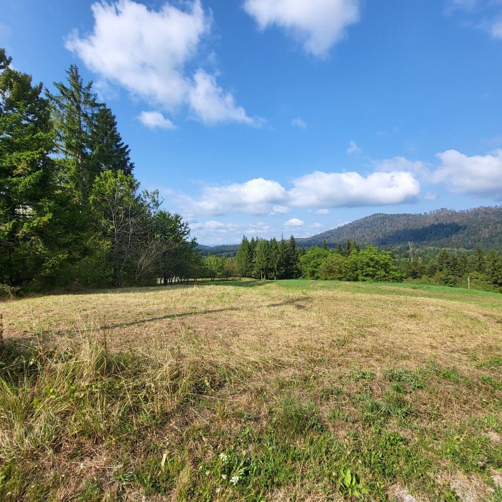 Image 6083436 - 2