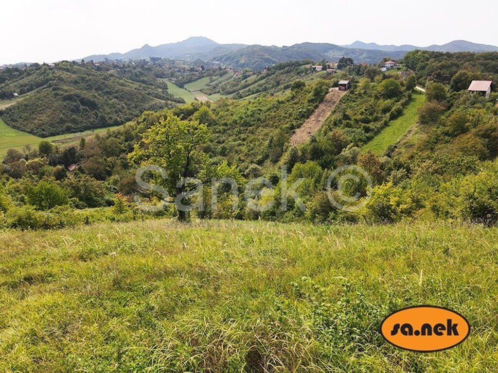 Image 6083437 - 1