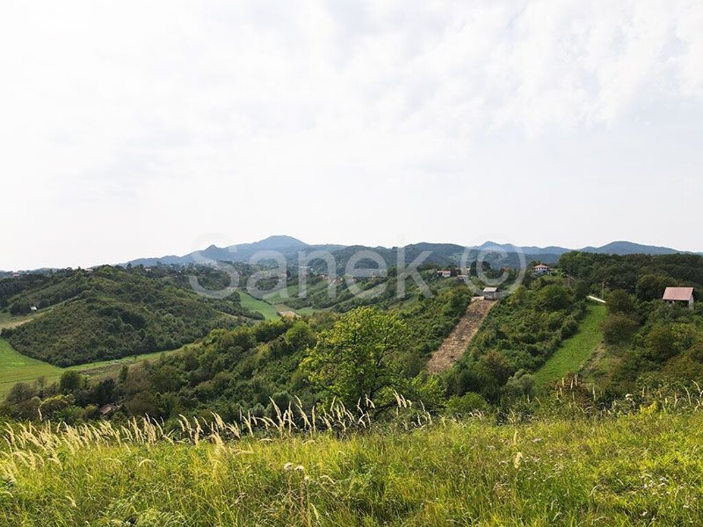 Image 6083437 - 2