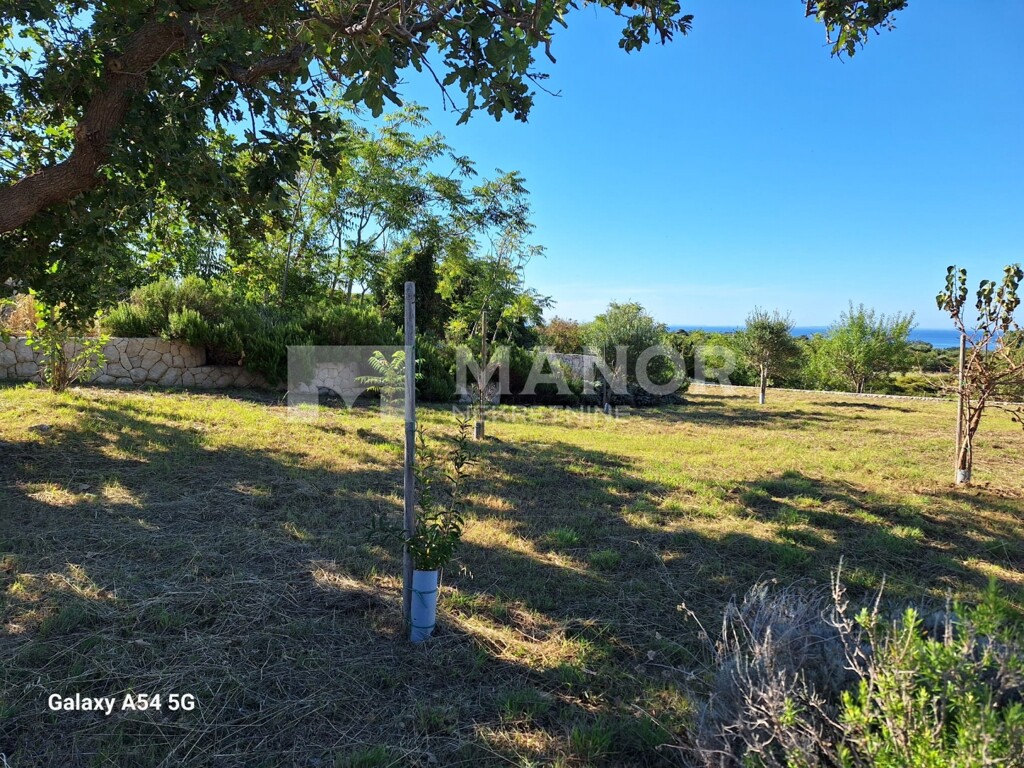 Image 6083528 - 2